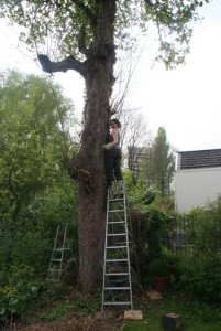 "Me and my tree.."